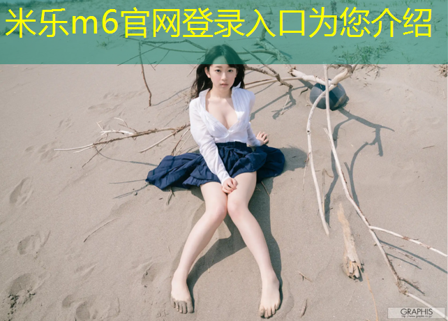 米乐m6官网登录入口为您介绍：济南标准塑胶跑道规划