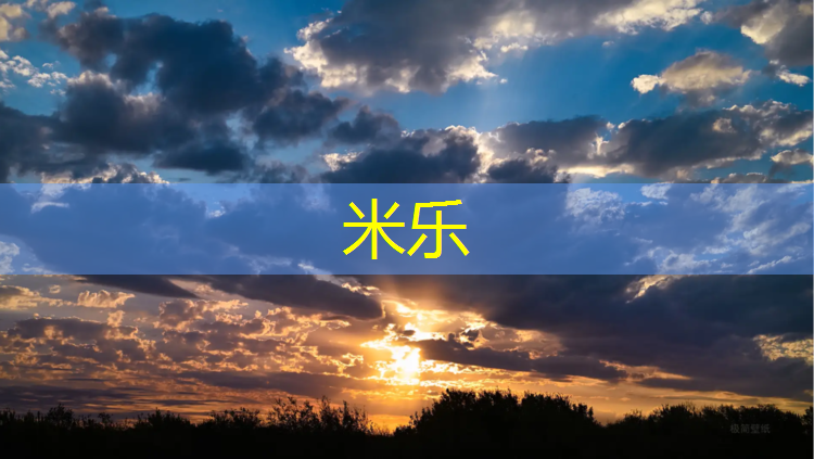 <strong>米乐：塑胶跑道匠心独具</strong>