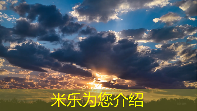 <strong>米乐为您介绍：汝阳400米塑胶跑道</strong>