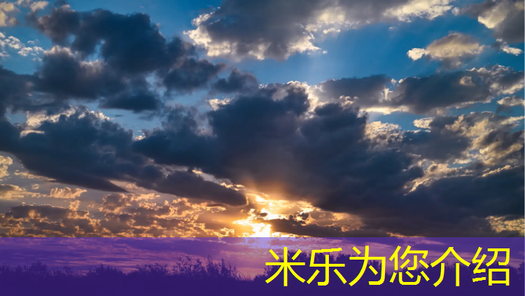 <strong>米乐m6官网登录入口：塑胶跑道掉草</strong>