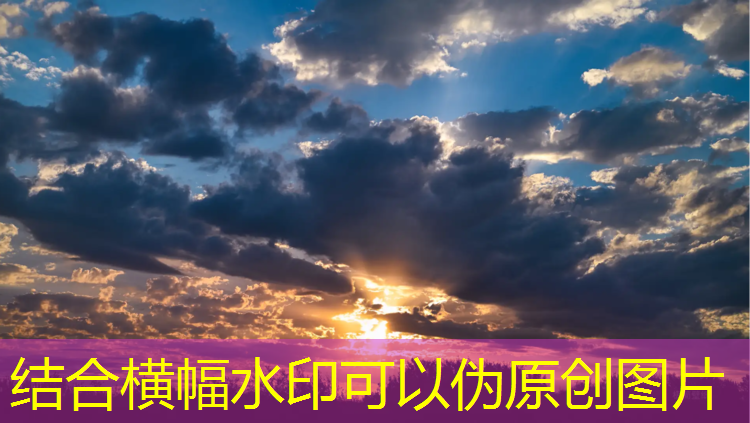 室内健身器械名称