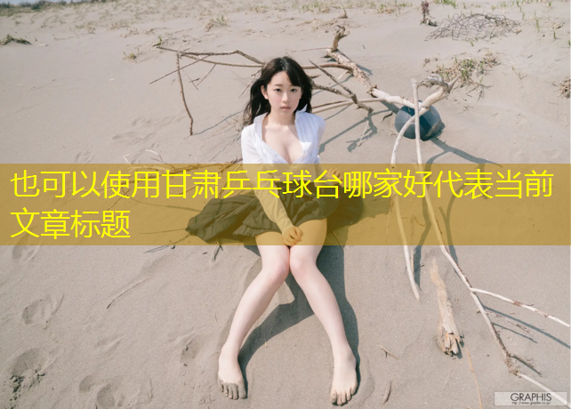 甘肃乒乓球台哪家好